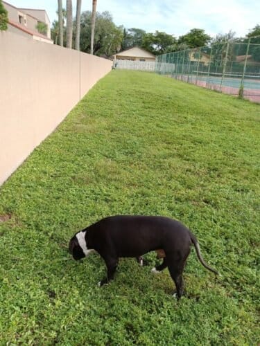 AC9h4noAUlquGZwJS1h IxomiV4W7v 8ZC0kU3jO tgQ4x5gY7QFag9zTE8eYg 4 rcdBHsANQGSwrrE PeSRxHZnnTYLlP9pvDwYIg2Z5jefvf6IseO1w8C69fdspZV7IWRbxaGVsUZww1600 h1000 k no