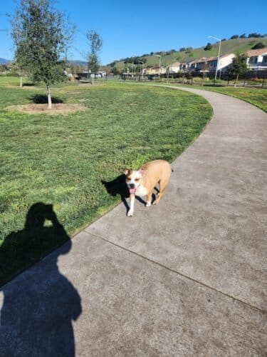 AC9h4noAZ7dqMKU4jW57CB2lTvzwpztwNFJ8I1e yxMuDvOMD fFT sqC118m XqXT3Zqgf6OPp5HSq70RI5PSSNsOQbUPyMXwxvtanl4 3Ez2 xB3q UcbSHiLXOjov6iRvfK wq6Pzw1600 h1000 k no