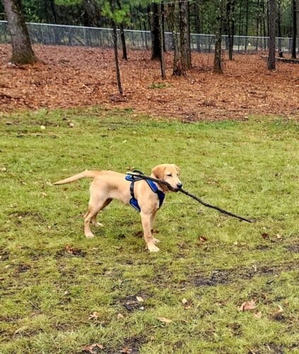 AC9h4noAiIWINovwVHs1Y g0TOJoRIxKxp tnEVvndSPs6WbEiKgN7STUsNcDWeQcEW0YLarcmnBi adHt0GHxQaG4GFEa3kZWTFmX1meIBkAiOaZSjJPTtC3cQzygHK4nOA8glCmjs3LAw1600 h1000 k no