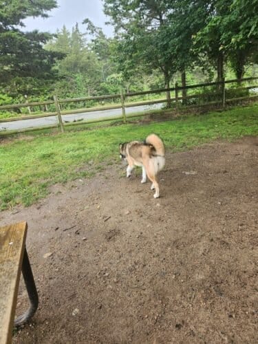 AC9h4noAmCRJlAuTCBYkzfY0vv Wgjhqcs7rKRAlGn6gq2ZVSR 2JSMtahTq iKjRYV SZ3g6Jtcpd5GffTGrPCPSrdpMRI2DYNOoFqL7RCjuQKmVkRoV I0ydcPvxBszDNKHdOSUbvJIAw1600 h1000 k no