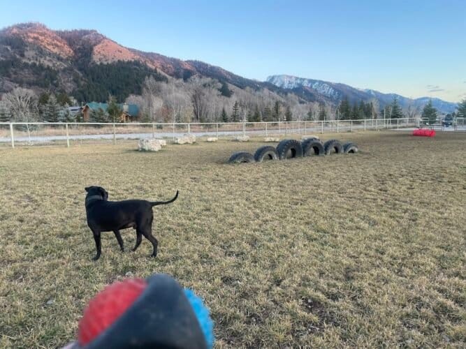 AC9h4noAoe7N9PRewk2pw8SzxAYeH1t iFjfZpQsmsYhzd5okfQatze8iQ W7SM62B kcRxSsatJpJe Zh4QFbJdoYlud9oLAwomJEkA8k 28D5obyY3HadaCG nNv dvW2eCi3qrXsew1600 h1000 k no