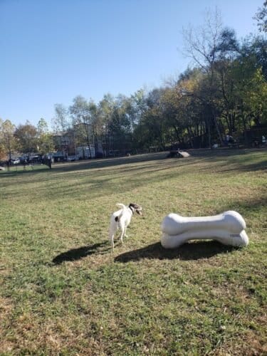 AC9h4noB68XKKMuYYabAV0v8EyfJBhHGtlk62nh6dPwKohSDU903zooLSTrwYGg4dyakg25kwNqrZc35lL55dlIdDK1mQam9vSz8RdnRyhWMssSBL0kK9RR8xax8pMgOJSqid6kFjZWow1600 h1000 k no