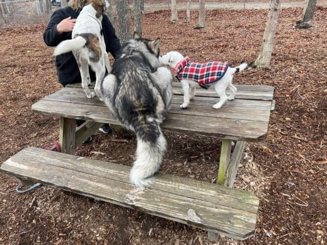 AC9h4noBAsSDgMWGQA1nkDpro0n2tx25mfyCJqMUmqme3fx c87Yf8JB6U xphLaVh1g0RfySjiQxjeAUdhKPWaRxRfQ7dGZhBSVo4SZ4Aw1600 h1000 k no