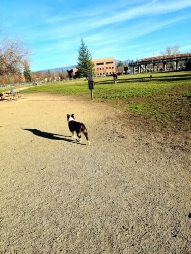 AC9h4noBCfQDkTNFkDIR gdCNaAXG7CMAw70MrqASAkGc43fvdIc5KKtK32g5N3cWdTSZC1yL9hGE7KNhZqaohMrEzeD5KVVM7ZOHqt7R6uYj wtLECnV7V73cdDfWZnhtR0STL4igetvQw1600 h1000 k no