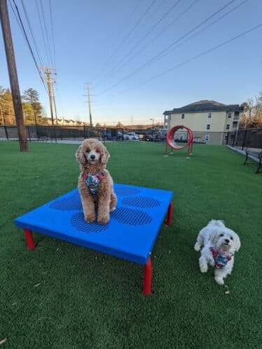 AC9h4noBHkJwYG7ZZS181BBIOsN2mMy3y2kkoLuwDEESg8 CMMEf37g1hDnyPRoIJ5DctuRFOfIHHFFr6iUiGG0bHL4sgtXwEUo xf1xNPXbDlCv9Ke 2nn9xhxN3ayxvsJ85iNz9sHKHgw1600 h1000 k no