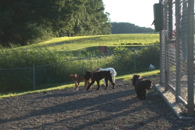 AC9h4noBU1VauJY tXEy6gc5GrL9gJmemBWcTJ VZUfz4OVnmcwkdjZ GajSn upW8 UiQDnPphgE1m9 XlSl1M32Rfu6QlbFkNCIyVj7rvZk v6bR0mFttIbwP3p8 wuztxm33h5qhlw1600 h1000 k no