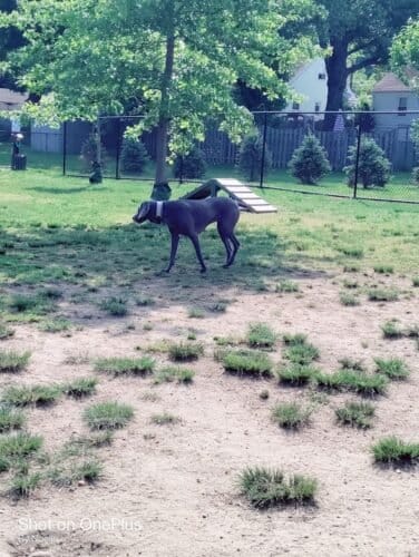 AC9h4noBhZVgdcdVCtakmiRJvcygz0teLjBfQpp83A8dSKwXhyiyi7a HEUJr0C0sKLlnntrZj7LhtOzGnPgkYwBEwGmANTwtZnJgVeLQAw1600 h1000 k no