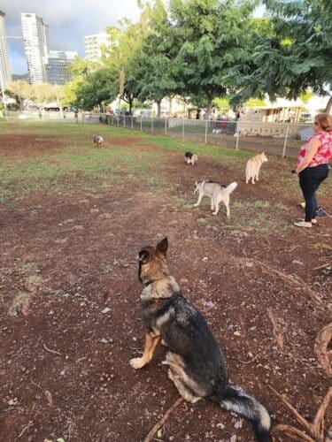 AC9h4noBlvMzcZsHfbM DUu Br bLBKtVI61p7Ldvw3QCbzY82c3IFiMwwJPlJINuQXJGz9r9WxjyRn6PFhOklvINKiYXi2vSQPC3LFn2JiwVPLTqZzVK EcFRI2lwbhX04Y29 MKdlbw1600 h1000 k no