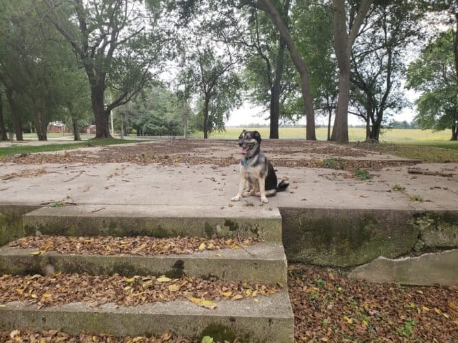 AC9h4noBtv O1QaLWBrTM0xJIx QyEQ2JNn0Dyeiqy9bgALre PmH3K2qi4pW8FHDjciNeUoqLnhh w6nt1tPw5CvQnmgDGKwN YB0SnK2 ZxPTyRR2AHg FDlf2Q0vxGGlPfq5qtzP2w1600 h1000 k no