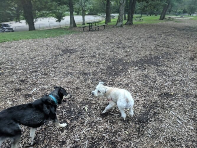 AC9h4noCPkwIP GIVbpT3xoEFgkLolHA3aybl2y7gj631J azLGhpLbSoQxcAlClcNvCm9RI6kSnqT cEiZRfKgvM4ZBvq2tC9y4N JVAgw1600 h1000 k no