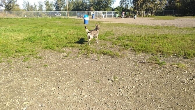 AC9h4noC ueZZNF8U7mDwg4wXhY54oL3LGYoy7HvrntCk 4JP2Ntr1I QCzJMbVgvPqEAQOSVUEcKbUvcUS4GoWoTRsxkqoXpz TNs37IdlJdA0zLFfqKuMNaUmqVc 4zWgbfhUdBktFdAw1600 h1000 k no