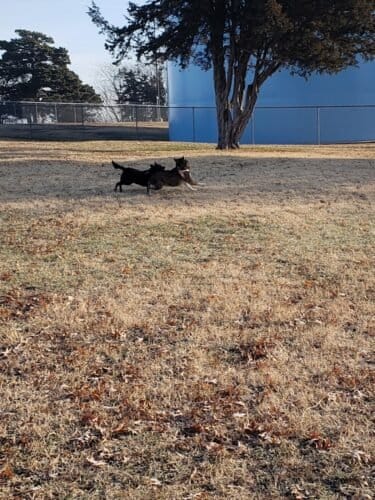 AC9h4noCdEmuG9Km83rf65ZEtKdChox EBdWTfassj3BaQ941rAIrIKzodRgUX29  qehbcjnam6Nun0i7cQcknAzTDYN2vymnT4sAAO1dFPr8pjxsogWU41De0I6Sx uUJY5jG3ax5s4ww1600 h1000 k no