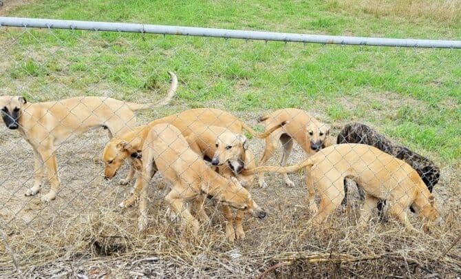 AC9h4noClTEGe2lfcCt7TWoXDzNeSsRADkOmXUtibnQdpcMSUyQjVs6hdFMRWapnl246nN4Guv2VQahTYDWHqKkAvuqMXXsIOmqeS14Zfip3onDiLgNDcYrJ54vC8KFfODGRHgU55Sb3w1600 h1000 k no