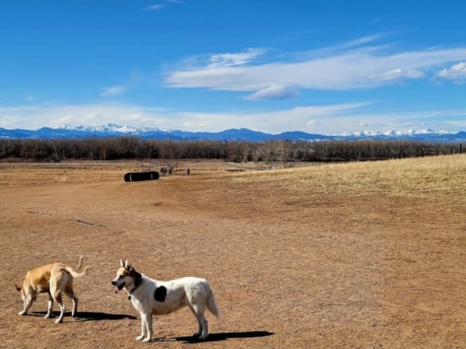 AC9h4noCqztwm3DIJQp c6nwv7VBSCDz7QOalRV6r8JZ6kL BMzOPlRq5V7OAnAP9y5zmreO MKFy2LIHgV3waWVHxorWsLUyMatfNIMg3mJ2S1ZQ9gCjLSdtqr7m3FFaKh8 8vUyY7rTAw1600 h1000 k no