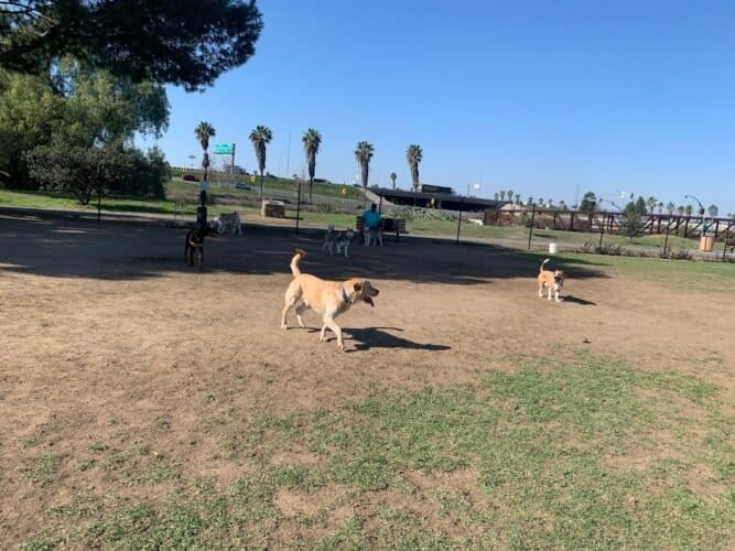 AC9h4noCtfMgLoKGAzePIcyd7yynl6BhDHrXXUTKaKlmpvvafqgzWdqifU K9avxEWYu3HSSS9PCSTknjPaLLKe74OoFumKRszjUEH0oWq fOGMYppnsGTFimnP6Xl Xud9L5emLlxYxw1600 h1000 k no