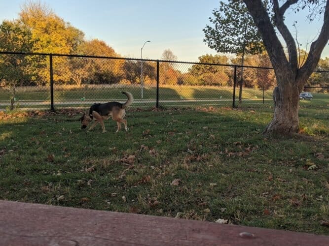 AC9h4noCwKfWXcKU7C7Oy9ChgUGgsf581 If549DYumD5loYc XL7 LR2DSDIq ysWYnaPkaqMGLkJSQ1XjssSyHg3GHwD1PNQliCTjDYWv14rdWM2LsYDhMDaEtgWGxpUOw e USbHuqQw1600 h1000 k no