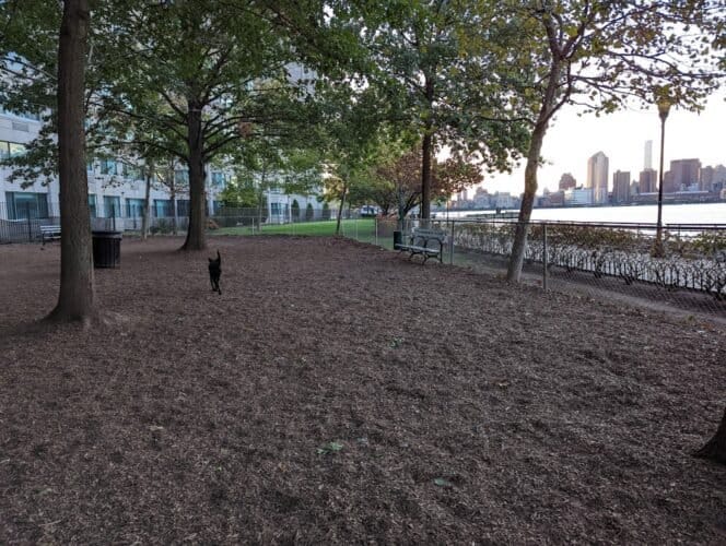 AC9h4noD6XYUjHz33wmMprHKZCTxxzjj9qhYI6dAUKAbZ1mZsLloGx XHqOKYi8GdcrCEPfc8CKF2xBTkGylGG3oL2MTQVrkX0IYDVNfRxuTiB ki2plVc9k30hKOuxwCAJquLB jl2Z6ww1600 h1000 k no