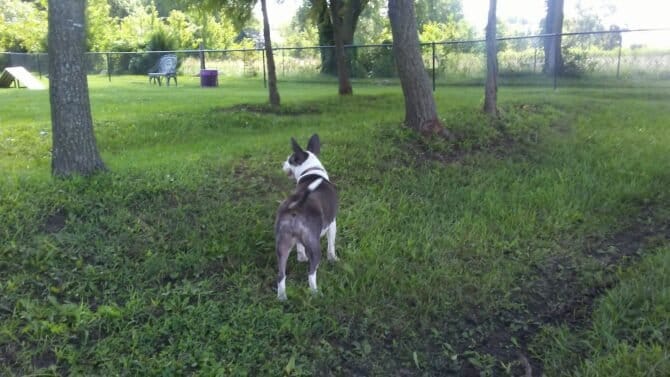 AC9h4noD9e9dB0VmBuHRWDJw8NO9Age9Xpi7nMA9MxYJNZXJEnj9u6x8AIwT6kj0jlj6OeAcVXsKkNzhOhEQkJgss4bLeM3y5ZuUs0wPw1600 h1000 k no