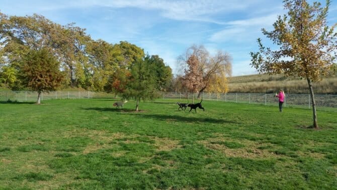 AC9h4noDAXlmsD0yQTOp40dzC7g99q1yNgoL8cS5XPDBTYQri8gYU9Qzm7j1WaW2DESXGDnlEeeYMzhGQCKzkM0lvhTWKKqXoC9YtBxqQgz2N2LMbJark7LkMvYPZYMyTYMI8ZRZEZK16Aw1600 h1000 k no