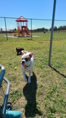 AC9h4noDMG26HBrcy0d1vzNRmkNOLxMdgNAlvn SZfhOGm Wnl0pZuHXq Ltxr9r46YLbkH9fYyqIwGtGEjfJKSujcSvf IiP4bmWGjsgw1600 h1000 k no