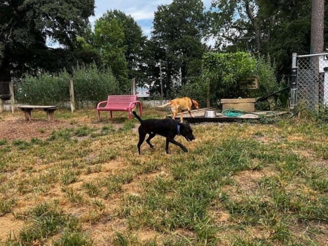 AC9h4noDiOCllWE5X45tdnZcV93EoYaqQGIlIhfk U4HBoS sffyQZYV2UQLjDNdGnFM4FTz0vYrnTHEbpBTe9ieup sPoBIip1sv3J0X9bZxe1Jrk0Kn405A2EanSl5kYNTObozFoq0w1600 h1000 k no