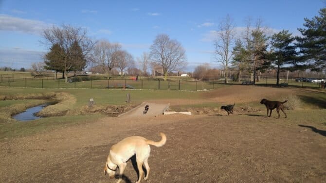 AC9h4noDr3NlY0OUgmxqr6zmPGSx8V7oyq4fWfzy3Y 8gsFFZ2Zg3QJ g2bqb6hob8F03h65VPVzSiBZxv4V SQD zGS ih8tDf69QLLZjtUS1TMONghSOg4aYIDdX9Y2iynAqfO92WZzQw1600 h1000 k no