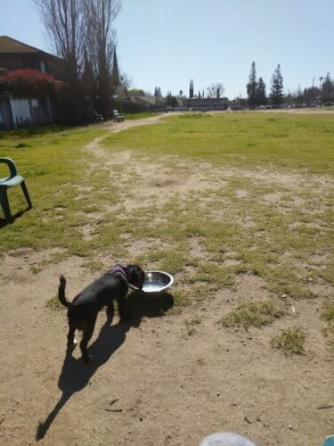 AC9h4noDvxmXb 7XcZ3oTraBlWosjfJoqGftFBUCTKIXn 23HgUW034rkFqW3BBYX6tjiE9Z9awcWELF3RdrZKEK8hx26Oqeqw51jFJmCMzDLebwKW68nYxP4oFpZwTuD1sP00UUZwxvLQw1600 h1000 k no