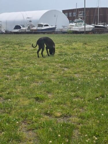 AC9h4noE2bDaqmq4G pszVllA DeHN 1peKmeLH5FTs3t9dOIzqwlQOlGZohiDzejEBDrCfORRQ4AWB 2v8oMXVGANcOKuBHekqEBcpQ0bE skTSyoX0f66QX3RtN2PVVj9hOiyS21 hEuvB6AdMw1600 h1000 k no