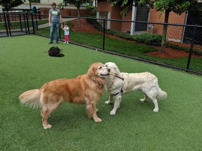 AC9h4noE44oNPbz5lpECZyRvMWAa 6mTsZtnjWQFDwTZ YQgCOlYhD2JUp8NkgATisHoWR UmaWgCDB12XYMkORy9i1bxi52 BSyWueDpdIw1600 h1000 k no