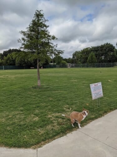 AC9h4noE5iqqzx00QG2jzxLS7bG8wYVR5 1miVbr55kc25hnc3ZfNx2D30Xiyk4slswXwP8Fn osn33kemNLChxO9czSjP6C0bDT2ZUvz9F5o7bi71t6zksrIyEfXCTa5K1ggfBcD07Zw1600 h1000 k no