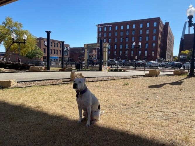 AC9h4noEBOgGRWspUZi5y4c6iy2LHEbeDw1jUPFexFocjC0hNc87EBaiJ4BWWjEpHwCsfTBBpdqyVBldbwBsLtRKUo2zljz88vkhrn2wamOn2TFs7HI4n6 0qGdOGfY3VpzNMuPSPB5Tw1600 h1000 k no