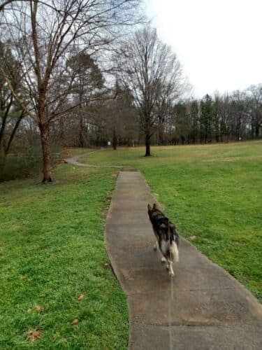 AC9h4noEH6zmPym5zJhhRhWaNGnYNS68BNgFMP6 QyYMkGCIglSLxpYAsPyMsrew4LouIL6npIjAvvWX0z0CBQU0s2G9YE1qUeLZkXl5w1600 h1000 k no