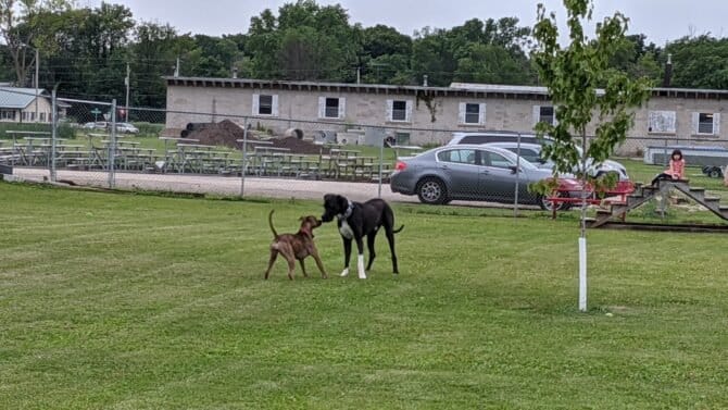 AC9h4noEM7cAHKkNr49CHMbOnSZP30fRwMykQRJAA8KksHJLa6e9so3uXoQGzggraSSRvQBUxYOOjxp6rFfptordjKDbmY5BxeqkPMcGoDJ5URqfybiTZbRh9CWKlPo8gr6F sJXMfrMCAw1600 h1000 k no