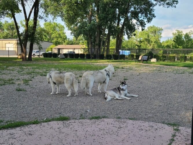 AC9h4noENP7n3Qyy2z6KxwJj tnpmg KFb61bRpz9ciJhURri sueyKkYcExAZFtgKD6Db1JsL5 ccn8u3DKS2Mci3KzAz6f4J7v9lz76lCxArWWBxNaBBLoTB DjV5bdEQLCvZP iMw1600 h1000 k no