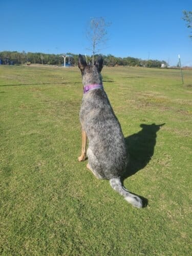 AC9h4noEUSrC 8boUYUTp3luvLlIqNFsHbpya0TxvpvlJyGTUUjsRl3mts1G7ijFdanGA9fp35lNLzKM14L1jYuk aop6doDQDUMwx0fncDB9zV Bza3bOVBUpJ9AQgdUZ886KRXfjmBDAw1600 h1000 k no