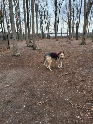 AC9h4noEabqGBUvU30ErqgLHnj pnB1uo25qmDA4IebRs3aaNRUFbJqAJWOyDWUvDPRZk01oOH5RXI4oB9ltrA2ulJagCR2ZEfkLhsJXnt 98cnjRgqWzRPFke2PgGKTytIfpeiZEZXfw1600 h1000 k no