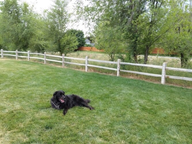 AC9h4noEf TIlIqIPQEM1HHbavpEukqJXkAjMVrB4INP5WrpSS64cPfB rf8RolRVeX5twm8sHcf ZRU8ZpgAFN0DQAx1iJqFoIWH8ilJ2qa0vwjp tvLyJcQNyLB4Yj8O0V3Uj4Hdrew1600 h1000 k no