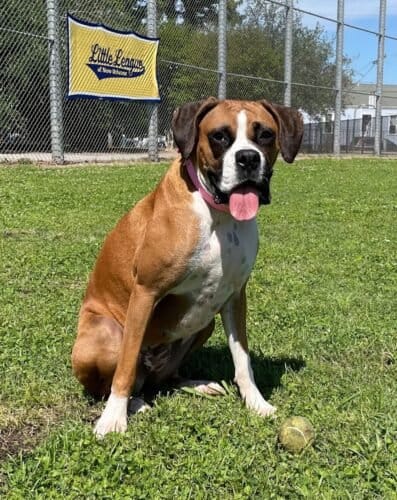 AC9h4noEfWwZHSKJ2lVs6RF3Nw32u0LHl6JB2MSQ5x4Ig6ySYVIc9ki AWfbmMBHBZhV1IgVpqtGF8jcteQcie8cT4vARPcTQTLZlUPXm432cU 8cJDQW2ooB2cYxx7nS9WHcKnxNUsaoQw1600 h1000 k no