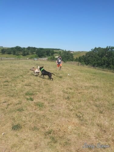 AC9h4noEkWuLvDBL2kW NrlZIGwTeH4ZFCx4saECFByWEj98ux5ym9bmuG73dGfIiIP31ZPktNQ89bfBJ5V d aXf6QIozL6Mb0H2P0i3 tJncY5uwzK3ZtussMAnlhv18Ks4BkQJ3qQFQw1600 h1000 k no