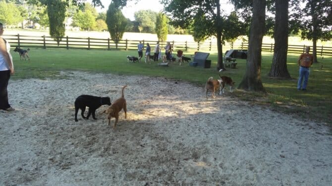 AC9h4noEqZAy fbLUT4pZronNNh84Q2GetlYYh2Ou5xtFrAoNy e51UWoBEi1io3 WQK7CPhQ88pwHn5xPlaMQrLbSnYFe6UjwrXBAY1t6ZsZkbdsuiDlUWHBk5 UHhaPX7NEJaePbn0jww1600 h1000 k no