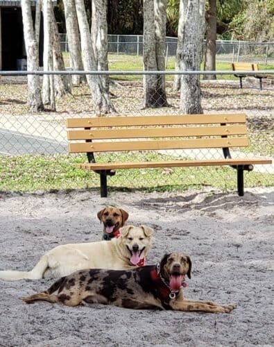 AC9h4noF61zliXomGj1VWz8C0PI3jvUe1DXIfGpi3M5 joqVVf2ocR9DYvVSPgx G685pMaEHqaI5p21t 2dW51HwtBZO dZbQyYFuSk2Je1b6Ketj Us94doz7EU4lEX3CMNhOer46n0gw1600 h1000 k no