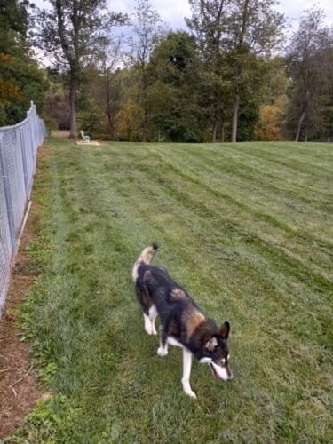 AC9h4noF95ofQYG r2XHLVt240M8IuEq0j VGW AgRHbHncK PEhRLTQWfynnLPJTxUV LWy8PlvU1wRDjkSV3 CV2aOnRFZRICbx qa8sk ZOIkWnpMMfZEPJg4 YVwQDfTCpnjl1Ew1600 h1000 k no