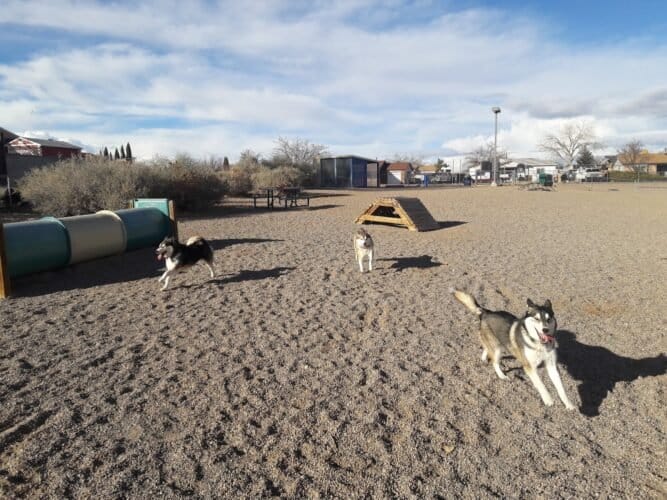 AC9h4noFH095v jE2xNNWHXr4nef8tOPGycQyYkmZ3VKOCv7WFhrP5bJbcllidSotbSrBM8GMwAJHJMtxx5bw1 5b5z0RmoIV3Lfs1xcyPX1ziSsKezR JiePZMU2c 7xetijf3KJPLdiQw1600 h1000 k no