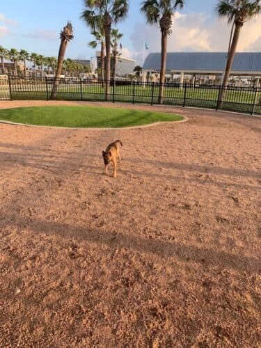 AC9h4noFPdryFMNU9OiizCvbUU4j3Hr6pOLygoij2kPnxOFyLwEWmzYeM8Vw7sM1epacUedCTvgDY5IChtQkCneHBn7TyttP7jvolF2QmXOPURiSMc36kT7bgg3WQR379eSRHou bWY6w1600 h1000 k no