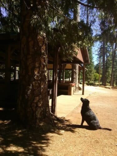 AC9h4noFfn 3R4RYJIUS1jj3oir60w3KS9SqeAWQGV9mo4q q06nCv 0yHQO1BBWHMyzC9QgZ5xgjNqb8HrDGfXUcv SKBDgawJQ9qTUmndHhSng1zQYUVlz cB51rt3HrDsQ MJEjBIw1600 h1000 k no