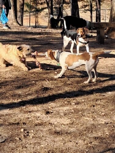 AC9h4noFit awT rCzIFoiHv4gcj K5SaK5Hsm77Xlu 2dHD2k0ISIM29n0AtSORNZVCyub4V7OGhp7n1xta6Mn59NcKfNs3GG9qechGldN229Nt33z6W54HyjvslC818fyZEr4ErGrmpBA4emMw1600 h1000 k no