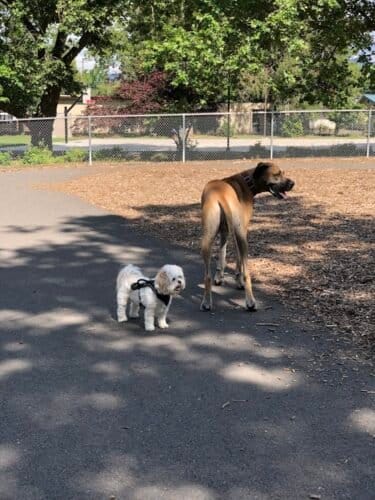 AC9h4noFqNdtqphzuXj2g24ntZBzwWTl3SegzxLdx9I3ZGkog4OjmvKjcH232W68ctv6zLeHbuDCFM0pKDuOT90QVgd8q85NRd3OInJCMi7nom m4WdlH9Hz4VFIfwPTlfclOdM 3Sqhw1600 h1000 k no