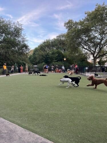 AC9h4noFs3bJcFLHxupsd8 rdBIwanfI y5TO6NbUjN1DmXGJU9KQItCXv0meqISNIM3XSRCy7bcpML5Nt1IKi9UNoInALeEqE KiPhl0oI6FLe97HJL3Tg4WuuHEHLm hATR6XuRHww1600 h1000 k no