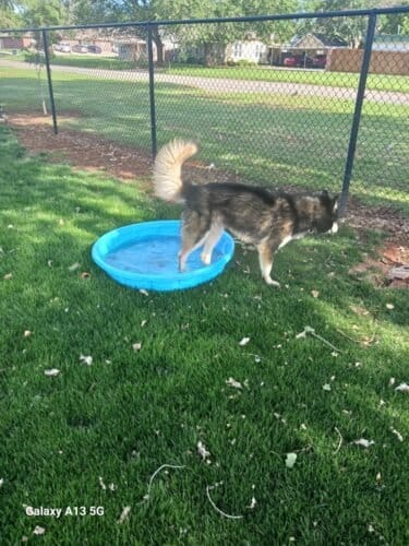 AC9h4noFxk3 Bs UerAPiAPfsoIzCC2Z3fLcapQ38IDzpZdAsC rDq1aV3MsczwP6HfEqOjIorGXkA sYUVvQ8RQmXmX54iolJXGxMsDJ4IqR5Ne2mmi1ZoirUVvwRKAI4SsmNvDsnUw1600 h1000 k no