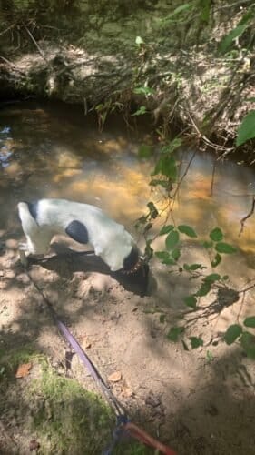 AC9h4noFyM1MnxgnxqPOnwuqQEFquk8AruISPc XcqwRQcuhQ27Ld7qaT2JWhQPUiDmDYR7aKVIDM8RkxgaXVdE2X9FaPRnnVz3MZH3AVjwQk7tpFYBPdEmyk3nzn6PQecxtYWMTvakmw1600 h1000 k no